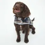 Barbour　タータンドッグコート - Image 4