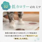 キャットフード​ - Image 3