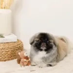 リスさんギンガムチェックリボンぬいぐるみ - Image 7