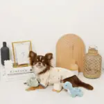 恐竜の仲間達おもちゃSET - Image 8