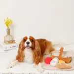 ピクニックセットのおもちゃ - Image 8