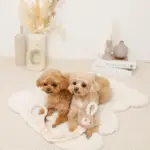 くまさんひっぱりロープおもちゃ - Image 5