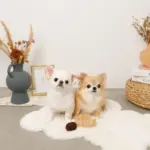 たいやきのおもちゃ - Image 6