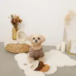 ノーズワークドーナツ型おもちゃ - Image 5