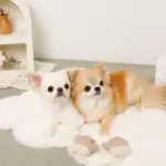 ミトンロープぬいぐるみ - Image 3