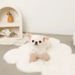 ミトンロープぬいぐるみ - Image 5