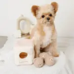 くまさんボールのノーズワークおもちゃ - Image 3