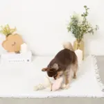 ノーズワークお花型ロープおもちゃ - Image 3