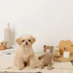 コーデュロイのくまさん - Image 8