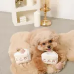 いちごのショートケーキノーズワークおもちゃ - Image 5