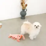 ロブスターおもちゃ USB充電 - Image 2