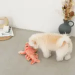 ロブスターおもちゃ USB充電 - Image 3