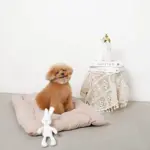 白いうさぎさん - Image 2