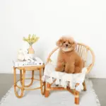 白いうさぎさん - Image 3