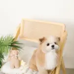 くまさんお星さまノーズワークぬいぐるみ - Image 3