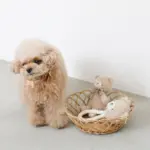 くまさんロープぬいぐるみ - Image 3