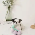 ぶどうノーズワークおもちゃ - Image 3