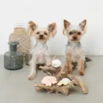 海の仲間たちのおもちゃSET - Image 4