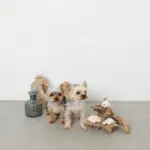 海の仲間たちのおもちゃSET - Image 6