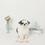 海の仲間たちのおもちゃSET - Image 8