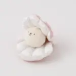 貝殻ノーズワークおもちゃ