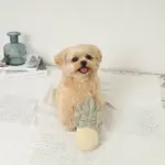 パイナップルノーズワークおもちゃ - Image 2