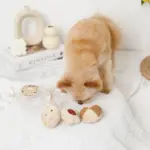 クッキー詰め合わせノーズワークおもちゃ - Image 4