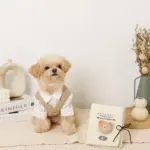 ノーズワークナチュラルブックおもちゃ - Image 3