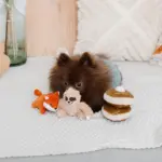 ちいさなナマケモノさん - Image 7