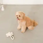 フラワーロープぬいぐるみ - Image 2