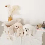 フラワーロープぬいぐるみ - Image 3