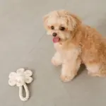 フラワーロープぬいぐるみ - Image 5