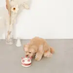 ホールケーキぬいぐるみ - Image 4