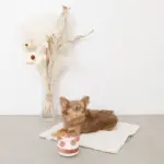 ホールケーキぬいぐるみ - Image 6