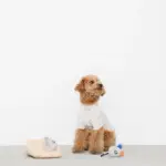 チーズとねずみさん - Image 3