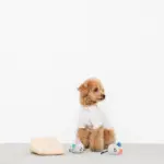 チーズとねずみさん - Image 4