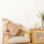 ノーズワークふんわりハートのおもちゃ - Image 8