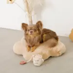 ノーズワークコーヒーカップぬいぐるみ - Image 6