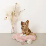 ノーズワークコーヒーカップぬいぐるみ - Image 9