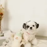 デンタルロープスノーマンぬいぐるみ - Image 3