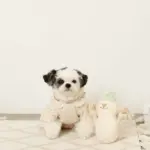 デンタルロープスノーマンぬいぐるみ - Image 7