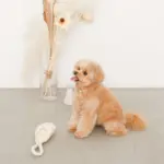 スリッパロープトイ - Image 2