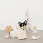 スリッパロープトイ - Image 3