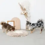 ノーズワークバイカラーマット - Image 6