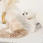 ノーズワークバイカラーマット - Image 7