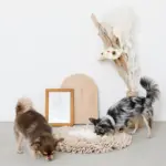 ノーズワークバイカラーマット - Image 9