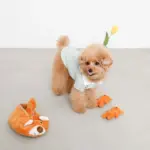 くまさんスリッパとなかまたちのおもちゃ - Image 3