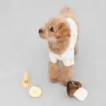 きのこのノーズワークおもちゃ - Image 10