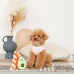 アボカドとパンのおもちゃ - Image 2