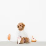 パーティーセットのおもちゃ - Image 2